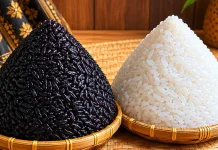 Sokko Hitam dan Sokko Putih, Simbol Syukur dalam Tradisi Bugis