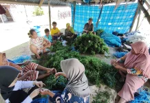 Kemenkum Sultra Dorong Rumput Laut KMP Desa Napa Raih Merek Kolektif
