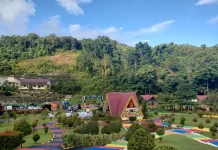 Taman Warna - Warni Jadi Pesona Kebun Raya Kendari