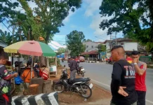 Kasat Pol PP Pastikan Keamanan Pemangkasan Pohon