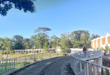Taman Wali Kota Tawarkan Suasana Sejuk untuk Berolahraga