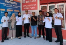 Geliat KDMP Desa Napa: Bersiap Launching Agustus, Bidik Potensi Rumput Laut