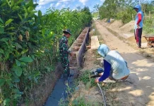 Antisipasi Banjir, Babinsa Lainea Bersama Warga Perbaiki Drainase