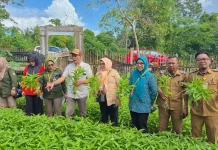 Camat Betoambari Dampingi Tim Penilai Lomba Pekarangan KEDAI