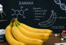 Mengapa Pisang termasuk Buah yang Sedikit Radioaktif