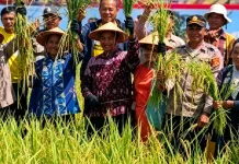 Bupati Muna Barat Hadiri Panen Raya Padi Varietas Inpari 42