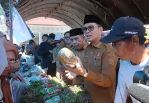 Pemkab Kolaka Perkuat Ketahanan Pangan dan Dukung KWT