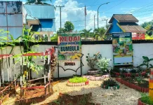 Kampeonaho Masuk Tahap Klarifikasi Lomba Kelurahan Sultra