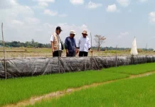 Juni 2026, NTP Sultra Turun 0,03 persen