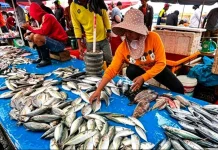 Perempuan Pesisir Pilar Utama Ekonomi Laut
