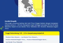 BMKG Rilis Gelombang Tinggi Perairan Wakatobi Capai 2,5 Meter