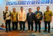 Kolaka Utara Undang Investor Garap Potensi Kelapa di Daerah