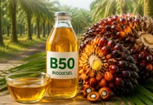 Program B50 Perkuat Hilirisasi Sawit dan Ketahanan Energi Nasional