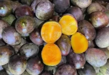 Buah Lokal Nusantara Semakin Sulit Dijumpai