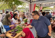 Disbun Hortikultura Sultra Gelar Pasar Tani di Empat Titik