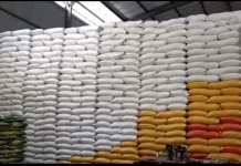 Bulog Sultra Pastikan Stabilitas Pasokan dan Harga Pangan