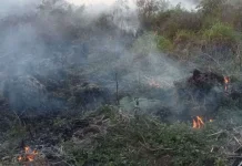 El Nino Tingkatkan Risiko Karhutla, Warga Diminta Waspada