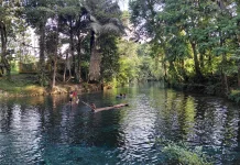 Mata Air Fotuno Rete, Hidden Gem yang Memikat di Pulau Muna