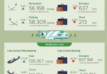 Penumpang Angkutan Udara Domestik di Sultra Naik 8,56 persen