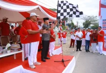 Gubernur Sultra Lepas Fun Walk Kebangsaan Semarak Merdeka