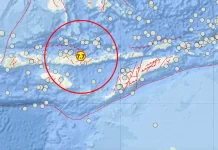Gempa M 7,7 Guncang Nagekeo, BMKG Keluarkan Peringatan Dini Tsunami