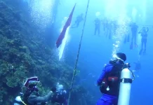 50 Diver Kibarkan Merah Putih di Bawah Laut Wakatobi