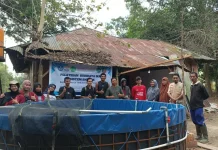 Kolaborasi Dua Kampus Terapkan Teknologi Bioflok di Desa Alebo