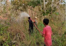 Cegah Api Meluas ke Pemukiman, Babinsa Bersama Warga Padamkan Kebakaran Lahan