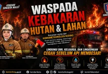 Waspada Kebakaran Hutan dan Lahan, Warga Kendari Diimbau Tingkatkan Kewaspadaan