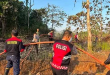 Kebakaran Lahan Konawe Berhasil Dipadamkan Petugas Gabungan