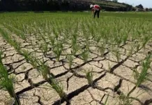 BMKG Kendari Ingatkan Risiko Kebakaran Meningkat saat Kemarau