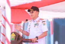 Gubernur Sultra: Apel Siaga Harus Berujung Kesiapan Nyata