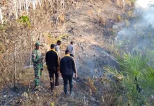 Patroli Polsek Kolono Berujung Pemadaman Kebakaran Kebun Jati
