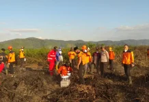 Dua ribu 376 Hektare Lahan di Sultra Terbakar Selama Januari hingga Juli 2026