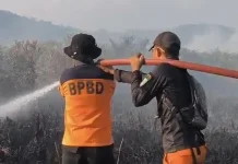 Karhutla di Lalolae Kolaka Timur Capai 110 Hektare