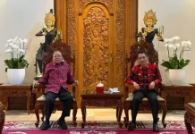 Intip Diskusi Gubernur Bali dengan Bupati Wakatobi