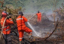 Karhutla Meluas hingga 206 Hektare, Lalolae Jadi Perhatian Pemkab Koltim
