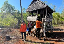 Hari Ke-5 Pencarian Lansia Hilang di Hutan Mawasangka Masih Nihil