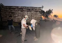 Karantina Sultra Awasi Pemasukan 1.400 Ekor Ayam Broiler Asal Sulsel
