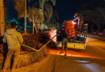 DLH Konsel Lakukan Penyiraman Rutin Taman Kota Andoolo Antispasi Dampak Kemarau