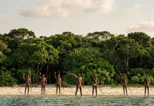 Menyingkap Misteri Pulau North Sentinel, Rumah Bagi Suku Terasing