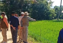 Kekeringan Mulai Berdampak, Petani Bungi Kota Baubau Didorong Optimalkan Air