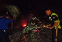 Kebakaran Lahan di Wawolimbue, Polisi Ingatkan Bahaya Karhutla