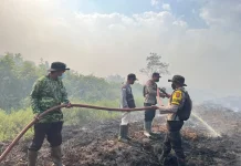 Polri, TNI dan BPBD Padamkan Karhutla di Lahan Gambut Kolaka Timur