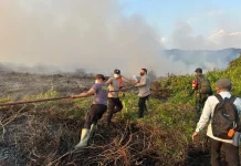 Lahan Gambut 10 Hektare Terbakar di Koltim, Tim Gabungan Lakukan Pendinginan