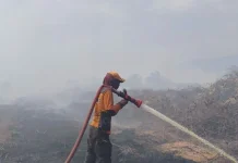 Karhutla Koltim Capai 273,5 Hektare, Dua Titik Masih Terbakar