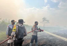 Polri, TNI dan BPBD Padamkan Karhutla di Kolaka Timur