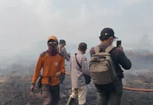 Dua Titik Karhutla di Koltim Masih Terbakar, Tim Gabungan Dikerahkan