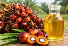 Indonesia Produsen Sawit Terbesar Dunia 2026-2027