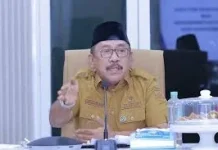 Kementan Salurkan Bantuan Pengairan untuk Sawah di Bombana